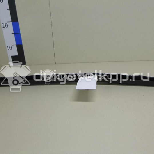 Фото Уплотнитель (внутри)  8T0823723B для audi A4 [B8]