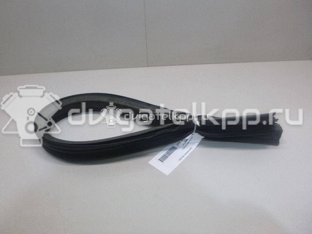 Фото Уплотнитель (внутри)  8T0823723B для audi A4 [B8] {forloop.counter}}