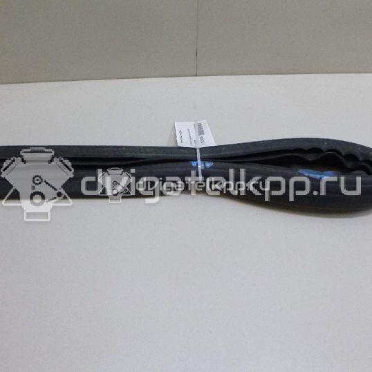 Фото Уплотнитель (внутри)  8T0823723A для audi A4 [B8]