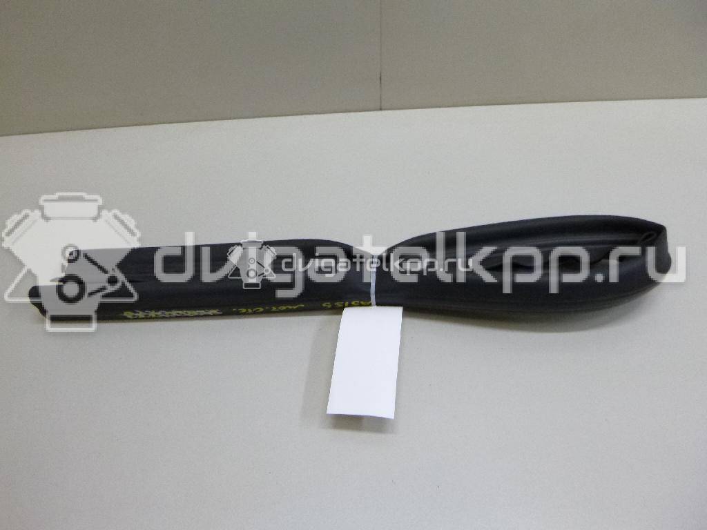 Фото Уплотнитель (внутри)  8T0823723A для audi A4 [B8] {forloop.counter}}