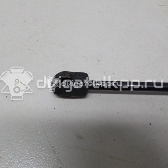 Фото Амортизатор капота  8T0823359 для Audi A5 / A4