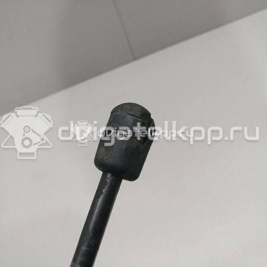 Фото Амортизатор капота  8T0823359 для Audi A5 / A4