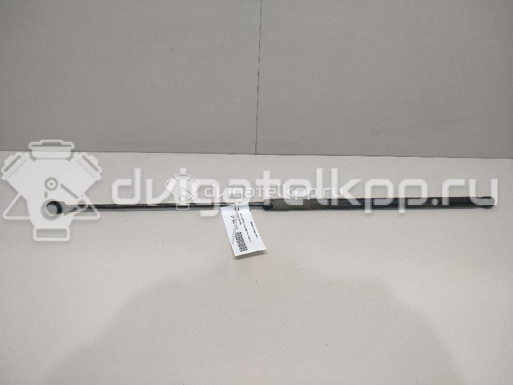 Фото Амортизатор капота  8T0823359 для Audi A5 / A4 {forloop.counter}}