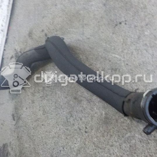 Фото Шланг системы охлаждения  8k0121055l для Audi A5 / A4