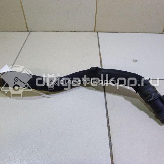 Фото Патрубок радиатора  8K0121055N для Audi A5 / A4