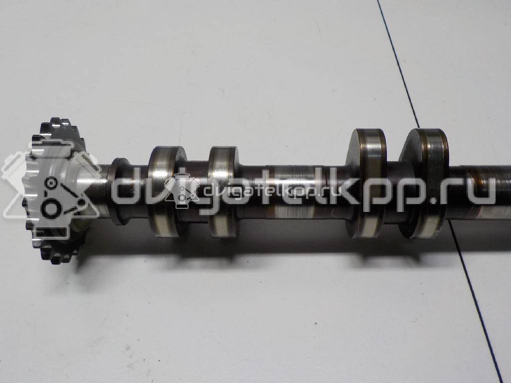 Фото Распредвал впускной  077109021GM для Audi A8 {forloop.counter}}