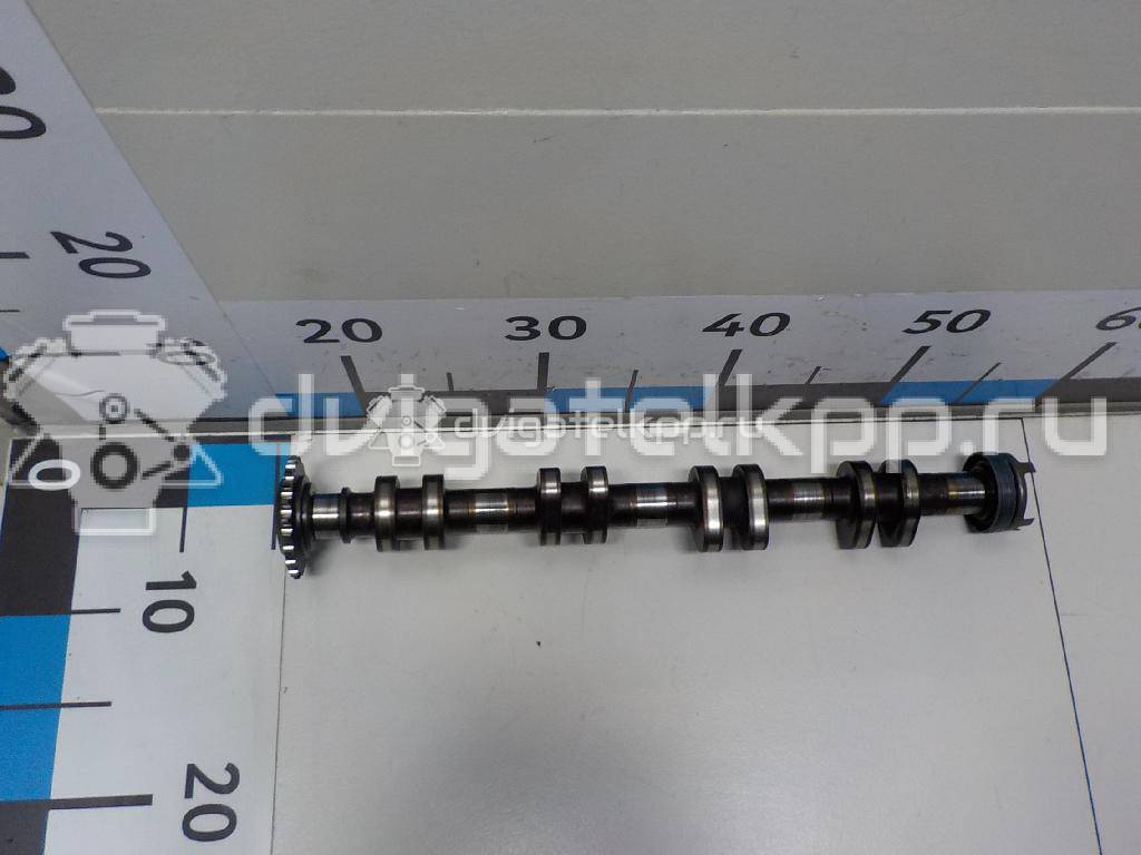 Фото Распредвал впускной  077109021GM для Audi A8 {forloop.counter}}