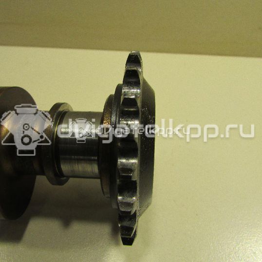 Фото Распредвал впускной  077109021GK для Audi A8
