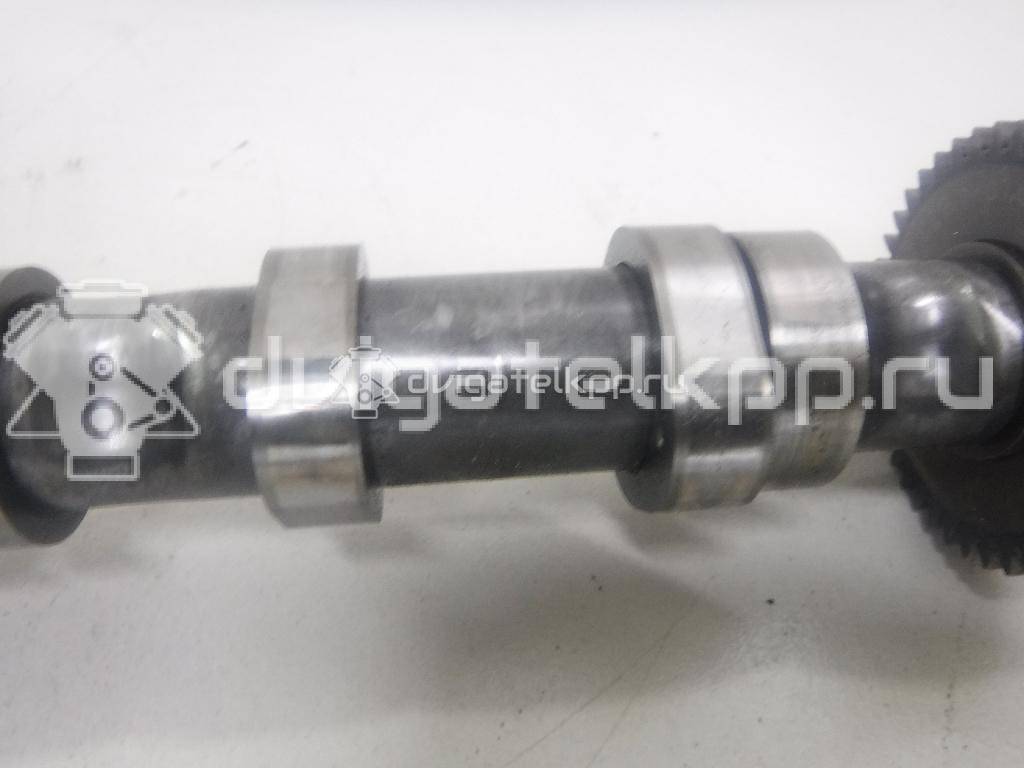 Фото Распредвал впускной  059109009BK для Audi Q7 / A4 / A6 {forloop.counter}}