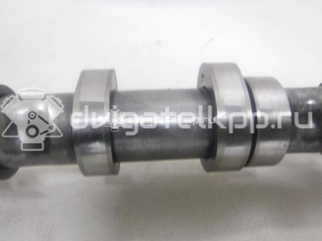 Фото Распредвал впускной  059109009BK для Audi Q7 / A4 / A6 {forloop.counter}}