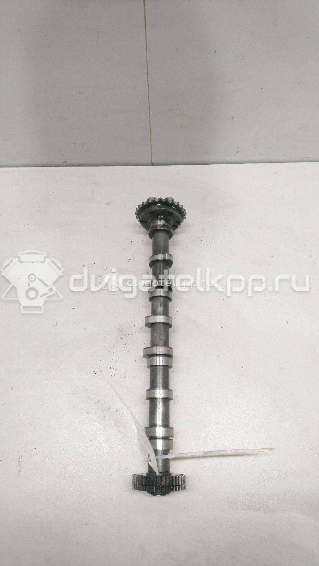 Фото Распредвал впускной  059109009bk для Audi Q7 / A6 {forloop.counter}}