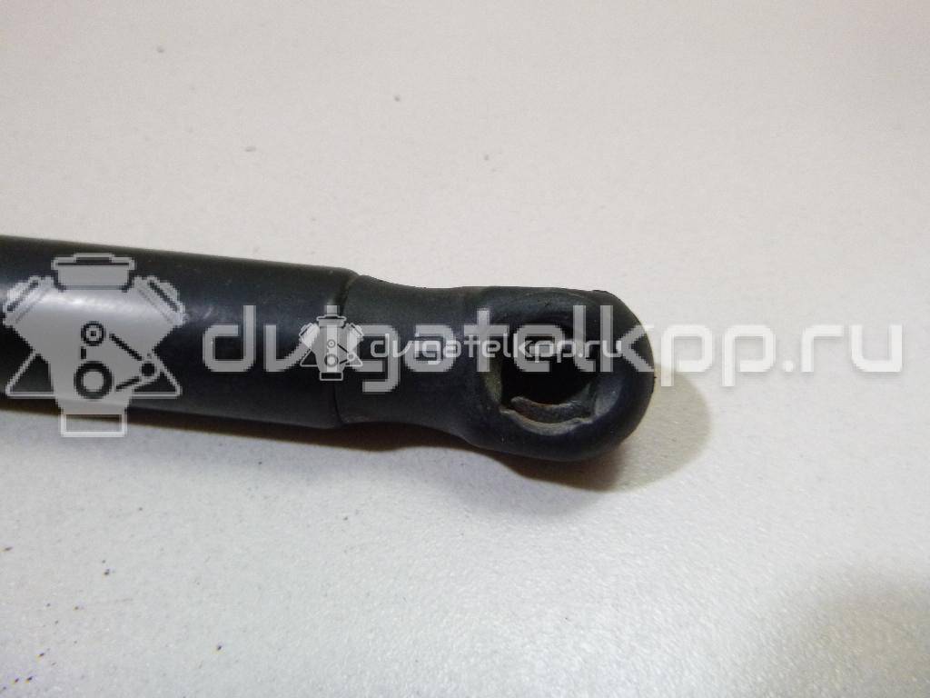 Фото Амортизатор крышки багажника  4F5827552B для Audi A6 {forloop.counter}}