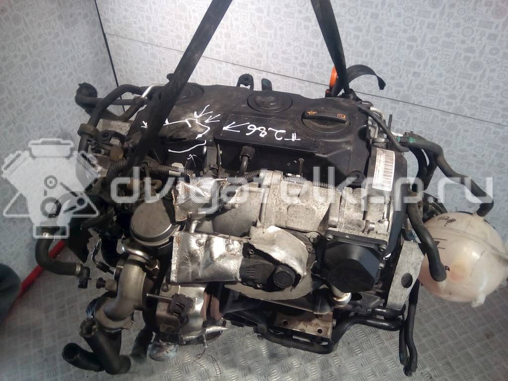 Фото Контрактный (б/у) двигатель BLS для Volkswagen Caddy / Golf 105 л.с 8V 1.9 л Дизельное топливо {forloop.counter}}