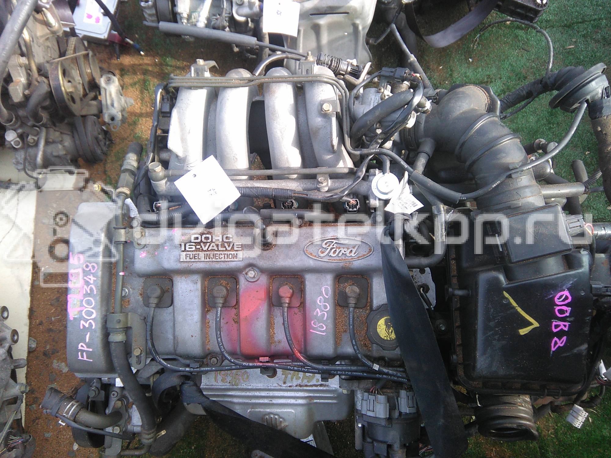 Фото Контрактный (б/у) двигатель PP для Audi 80 70 л.с 8V 1.6 л бензин {forloop.counter}}
