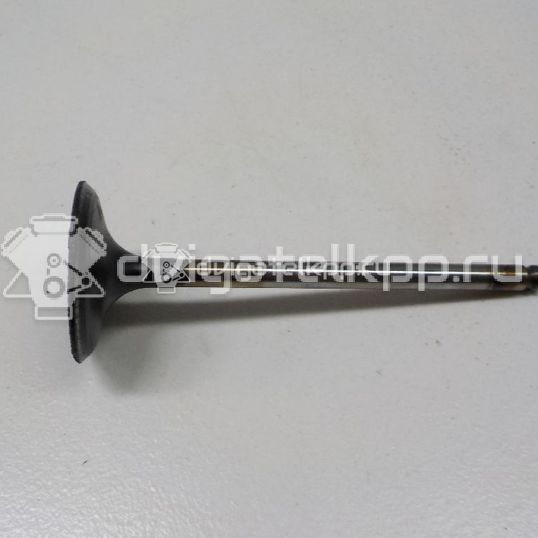 Фото Клапан впускной для двигателя 1MZ-FE для Toyota Camry / Alphard / Harrier / Solara / Avalon 184-223 л.с 24V 3.0 л бензин 1371120020