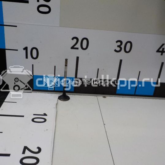 Фото Клапан выпускной для двигателя 1MZ-FE для Toyota Camry / Alphard / Harrier / Solara / Avalon 184-223 л.с 24V 3.0 л бензин 1371520020
