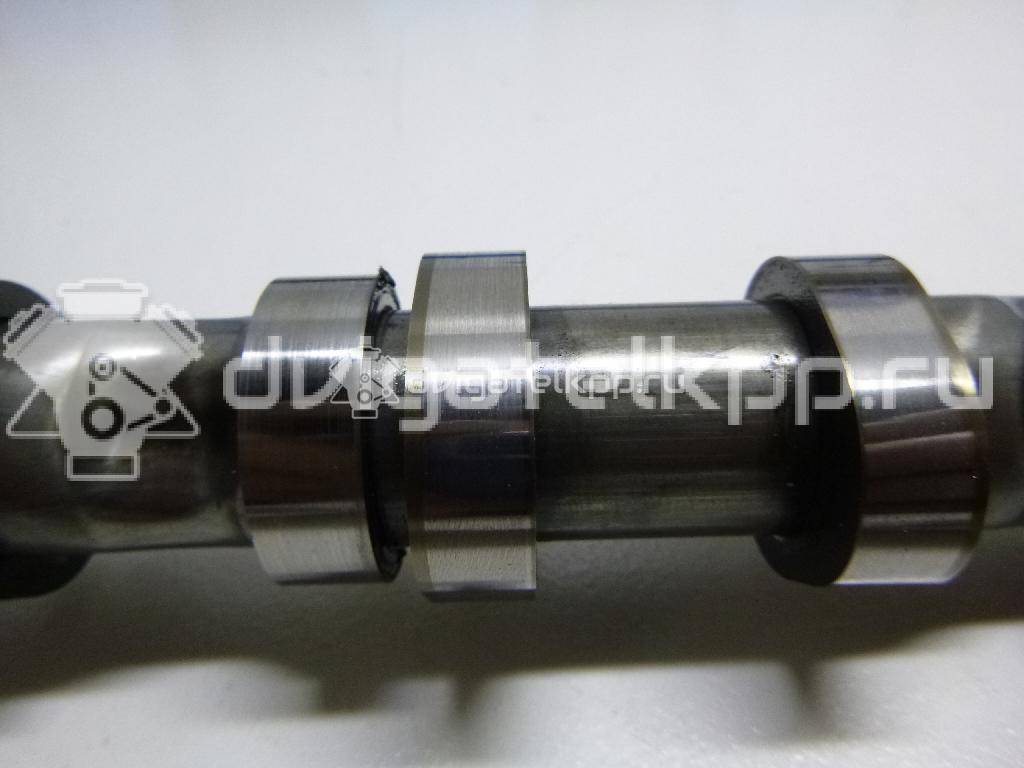 Фото Распредвал выпускной  059109009BL для Audi Q7 / A4 / A6 {forloop.counter}}