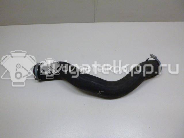 Фото Патрубок интеркулера для двигателя D 4162 T для Volvo V50 Mw / V70 / C30 / V60 / S40 114 л.с 8V 1.6 л Дизельное топливо 31293717 {forloop.counter}}