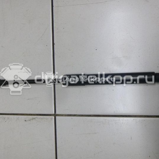 Фото Амортизатор капота  8R0823359A для Audi Q5