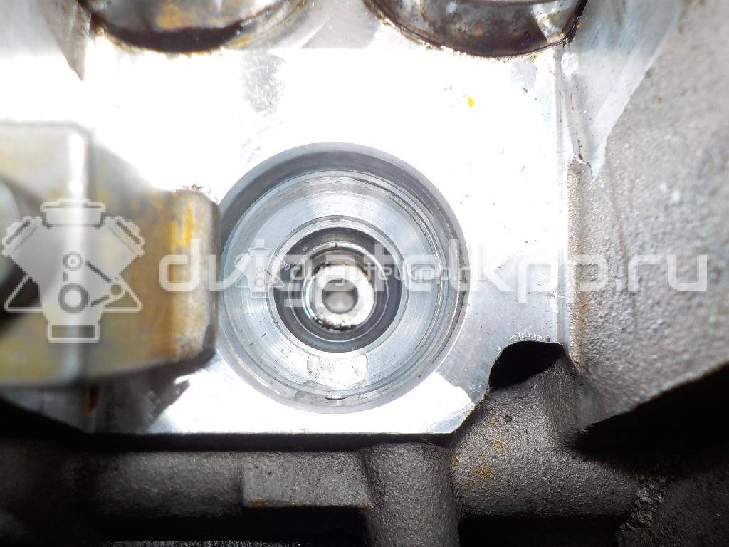 Фото Головка блока для двигателя BLS для Volkswagen Caddy / Golf 105 л.с 8V 1.9 л Дизельное топливо 03G103351C {forloop.counter}}