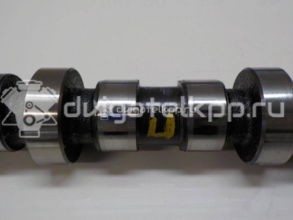 Фото Распредвал впускной для двигателя D20AA для Suzuki Sx4 135 л.с 16V 2.0 л Дизельное топливо 1271179J80 {forloop.counter}}