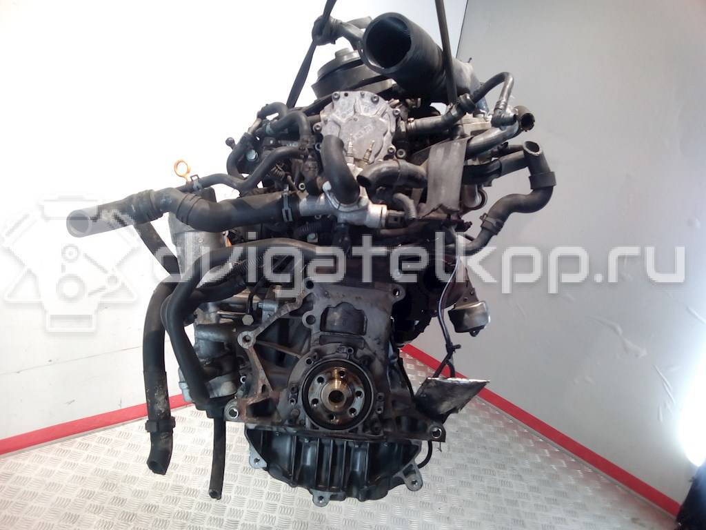 Фото Контрактный (б/у) двигатель AXR для Volkswagen / Seat 100 л.с 8V 1.9 л Дизельное топливо 284539 {forloop.counter}}