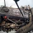 Фото Контрактный (б/у) двигатель 8140.43 для Fiat Ducato 122 л.с 8V 2.8 л Дизельное топливо {forloop.counter}}