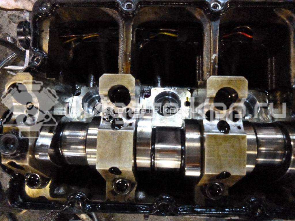 Фото Контрактный (б/у) двигатель BMM для Skoda Octavia / Octaviaii 1Z3 140 л.с 8V 2.0 л Дизельное топливо 03G100035G {forloop.counter}}