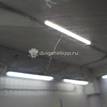 Фото Стекло двери передней правой  51328169014 для Bmw 3 {forloop.counter}}