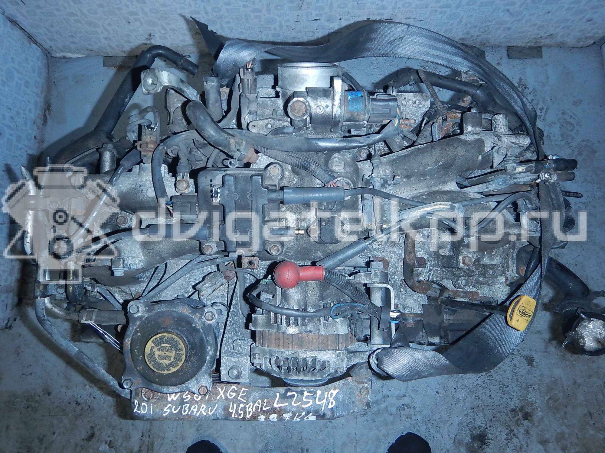 Фото Контрактный (б/у) двигатель EJ20 для Subaru Impreza 112-177 л.с 16V 2.0 л бензин 10100BP810 {forloop.counter}}