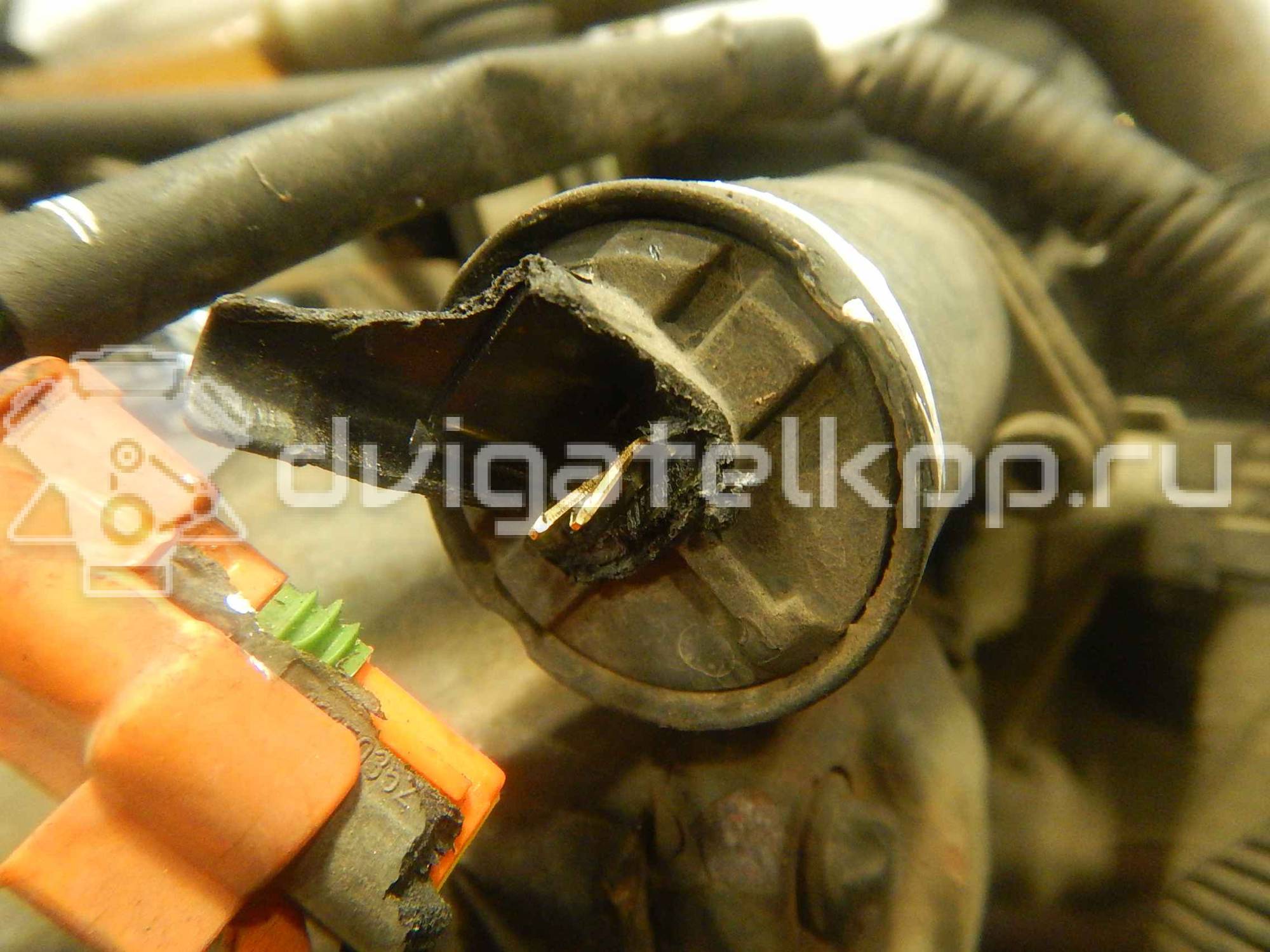 Фото Контрактный (б/у) двигатель QXBB для QXBB 140 л.с 16V 2.0 л Дизельное топливо {forloop.counter}}