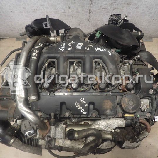 Фото Контрактный (б/у) двигатель UFBB для Ford / Ford Australia 140 л.с 16V 2.0 л Дизельное топливо 1343078