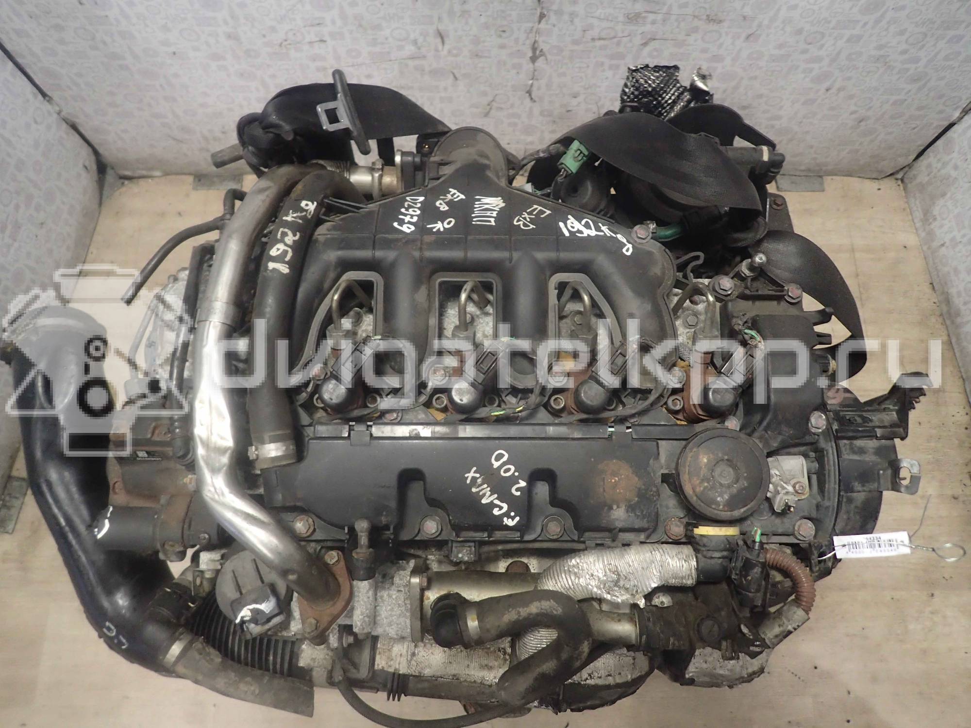 Фото Контрактный (б/у) двигатель UFBB для Ford / Ford Australia 140 л.с 16V 2.0 л Дизельное топливо 1343078 {forloop.counter}}