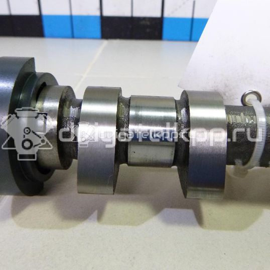 Фото Распредвал выпускной для двигателя IQDB для Ford Focus / C-Max / Grand 105 л.с 16V 1.6 л бензин 1888082