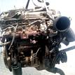 Фото Контрактный (б/у) двигатель D4CB для Hyundai / Kia 110-175 л.с 16V 2.5 л Дизельное топливо {forloop.counter}}