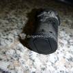 Фото Датчик парковки  66216902182 для Bmw 5 / X5 / 7 / Z4 {forloop.counter}}