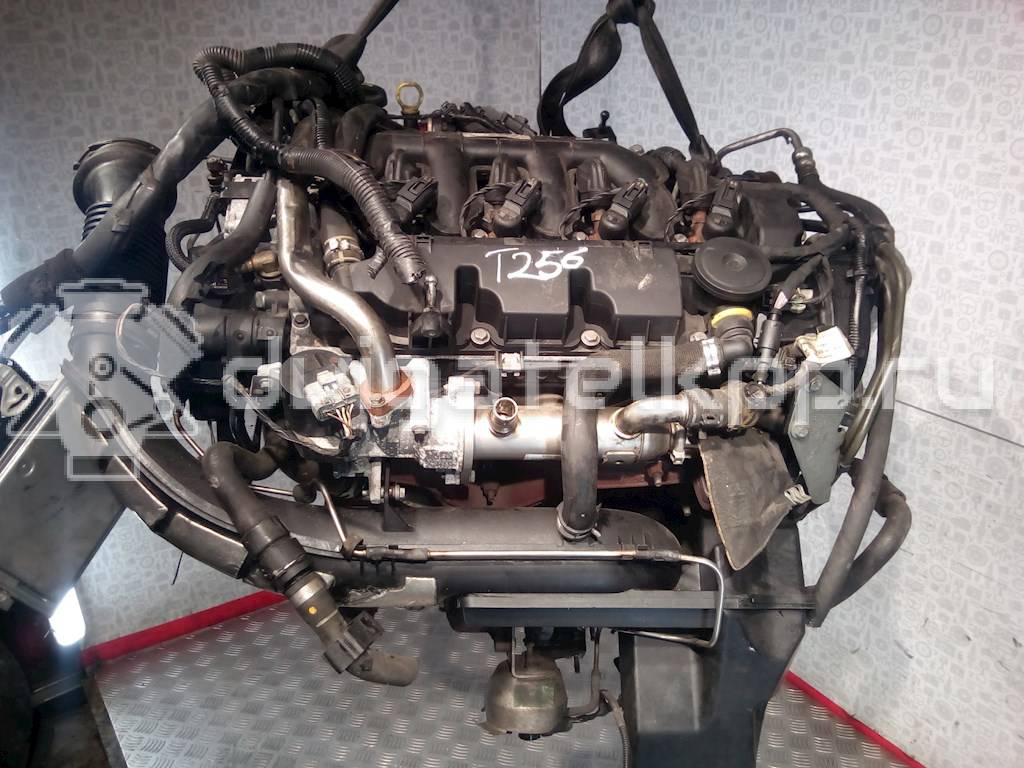 Фото Контрактный (б/у) двигатель UFBA для Ford Australia Mondeo 140 л.с 16V 2.0 л Дизельное топливо 1343078 {forloop.counter}}