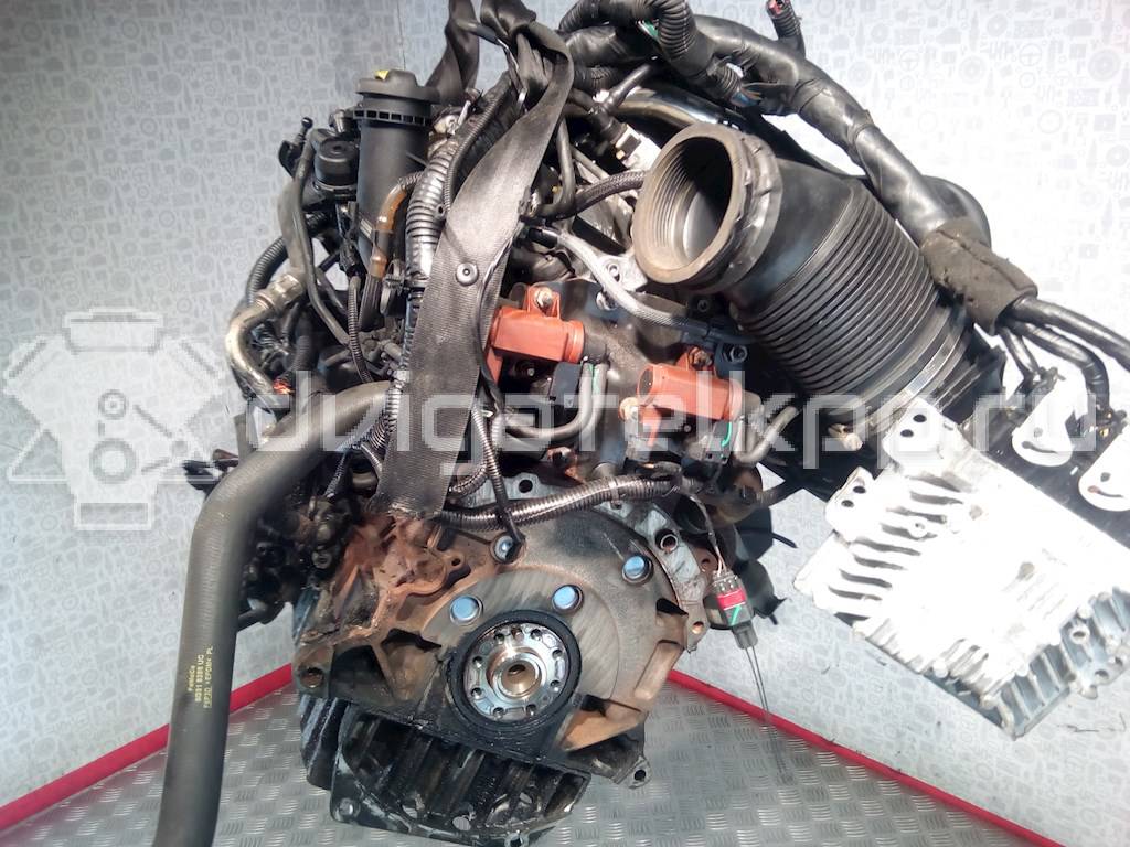 Фото Контрактный (б/у) двигатель UFBA для Ford Australia Mondeo 140 л.с 16V 2.0 л Дизельное топливо 1343078 {forloop.counter}}
