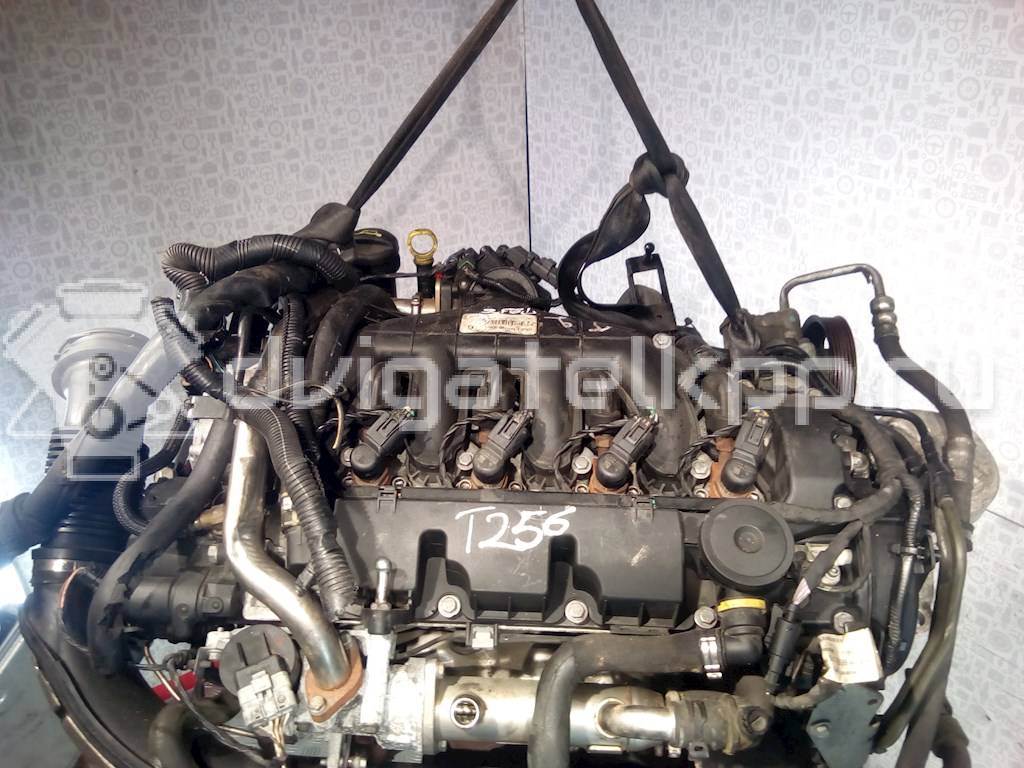 Фото Контрактный (б/у) двигатель UFBA для Ford Australia Mondeo 140 л.с 16V 2.0 л Дизельное топливо 1343078 {forloop.counter}}