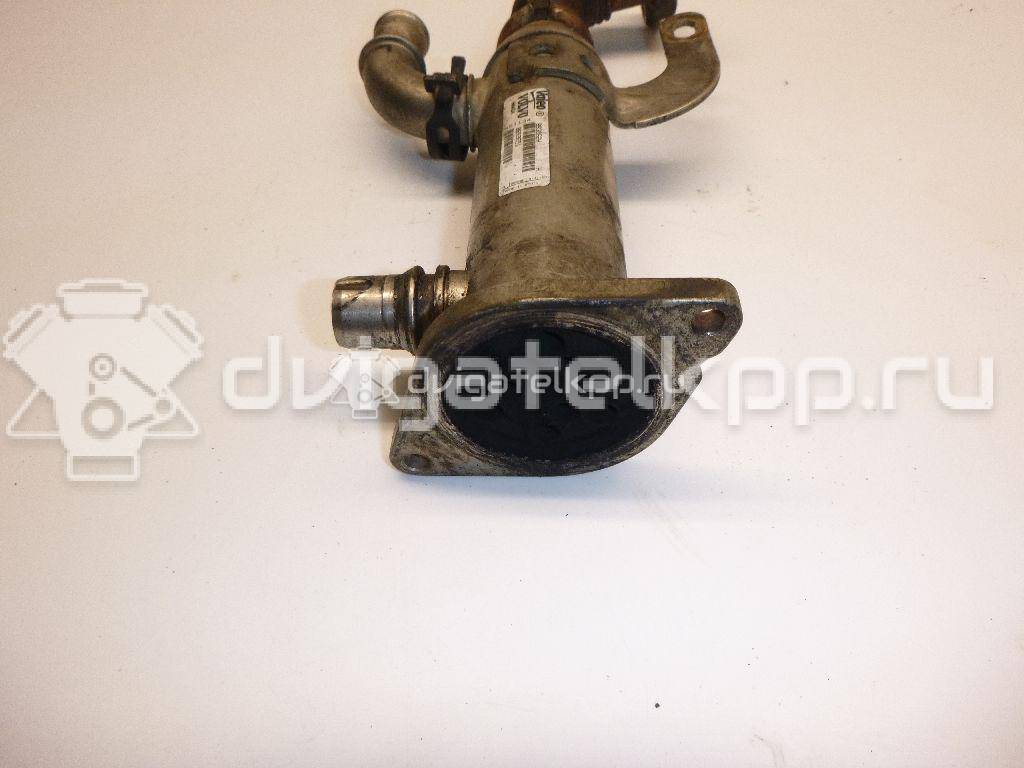 Фото Радиатор системы EGR для двигателя QXBA для Ford Australia Mondeo 140 л.с 16V 2.0 л Дизельное топливо 1233381 {forloop.counter}}