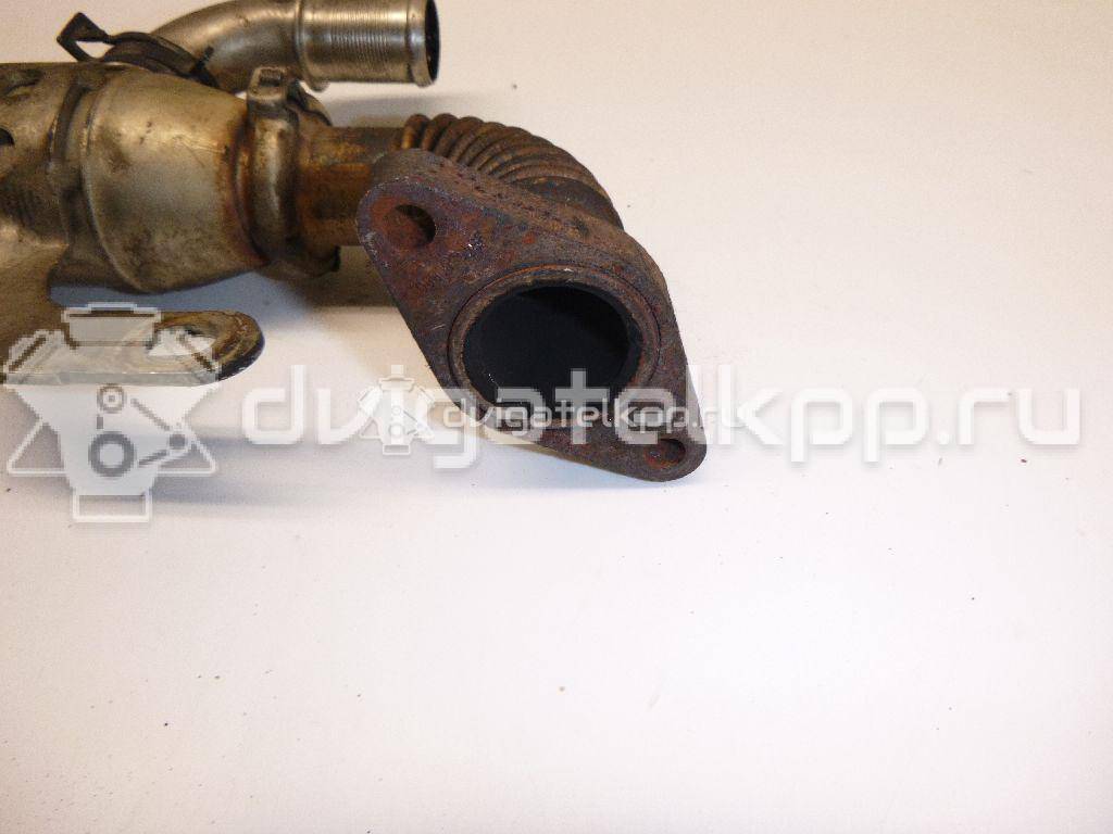 Фото Радиатор системы EGR для двигателя QXBA для Ford Australia Mondeo 140 л.с 16V 2.0 л Дизельное топливо 1233381 {forloop.counter}}