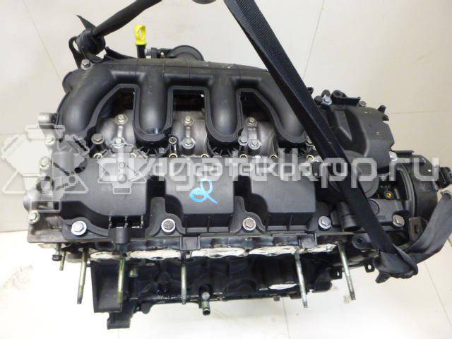 Фото Контрактный (б/у) двигатель QXBB для Ford Australia Mondeo 140 л.с 16V 2.0 л Дизельное топливо 1343078 {forloop.counter}}