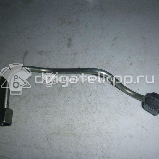 Фото Трубка ТНВД для двигателя T1DA для Ford Focus / C-Max / Grand 115 л.с 8V 1.6 л Дизельное топливо