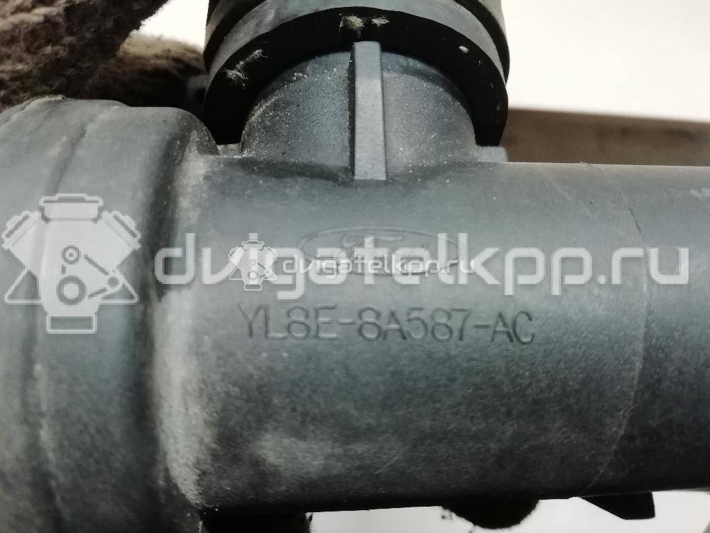 Фото Корпус термостата для двигателя YTR (V6) для Ford Falcon 214 л.с 12V 4.0 л бензин YL8E8A587AC {forloop.counter}}