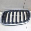 Фото Решетка радиатора левая  51137113733 для Bmw X5 {forloop.counter}}