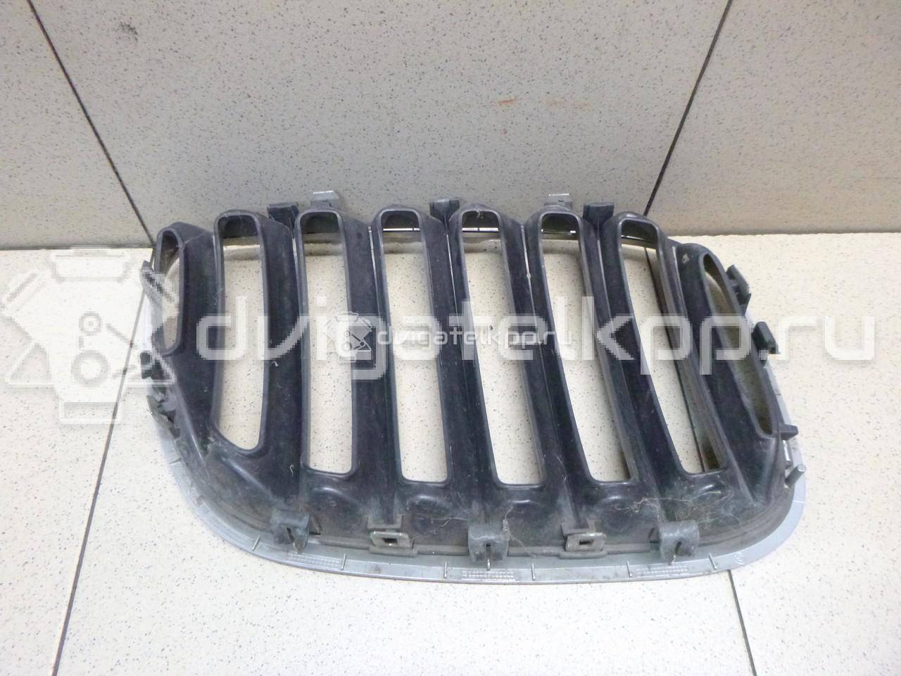 Фото Решетка радиатора левая  51137113733 для Bmw X5 {forloop.counter}}