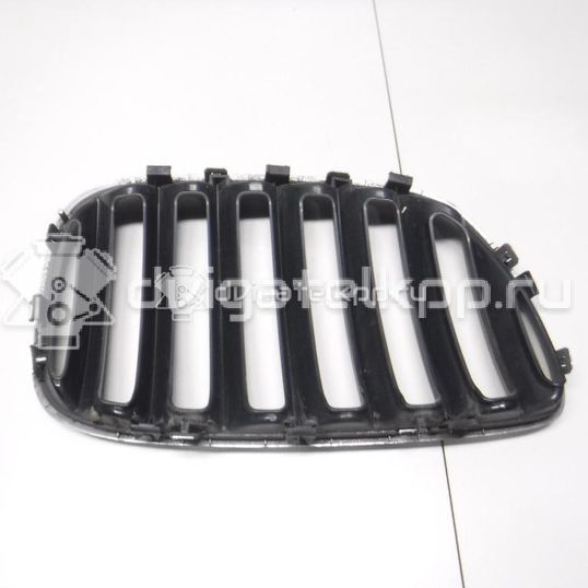 Фото Решетка радиатора левая  51137113733 для Bmw X5