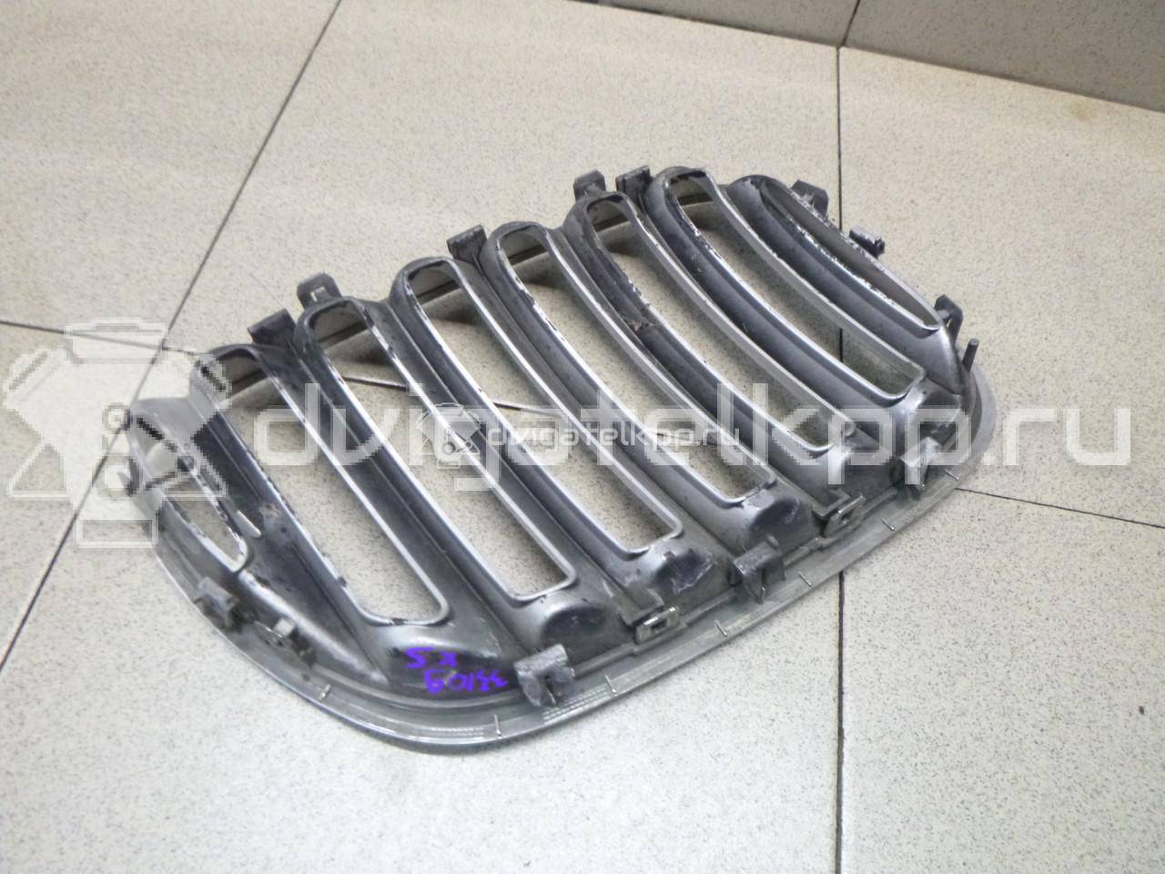 Фото Решетка радиатора левая  51137113733 для Bmw X5 {forloop.counter}}