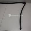 Фото Уплотнитель двери  51767208592 для bmw X5 E70 {forloop.counter}}