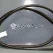 Фото Уплотнитель двери  51767333814 для bmw X5 E70 {forloop.counter}}